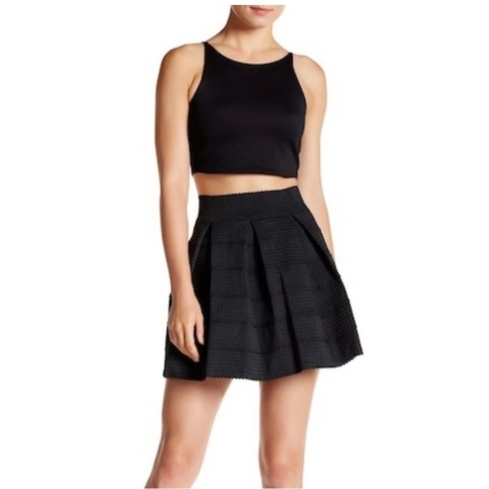 Honey Punch Black Skater Skirt